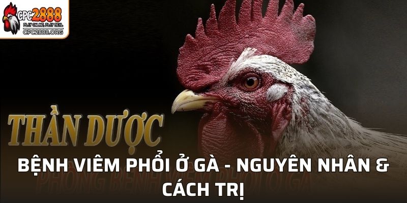 Bệnh Viêm Phổi Ở Gà