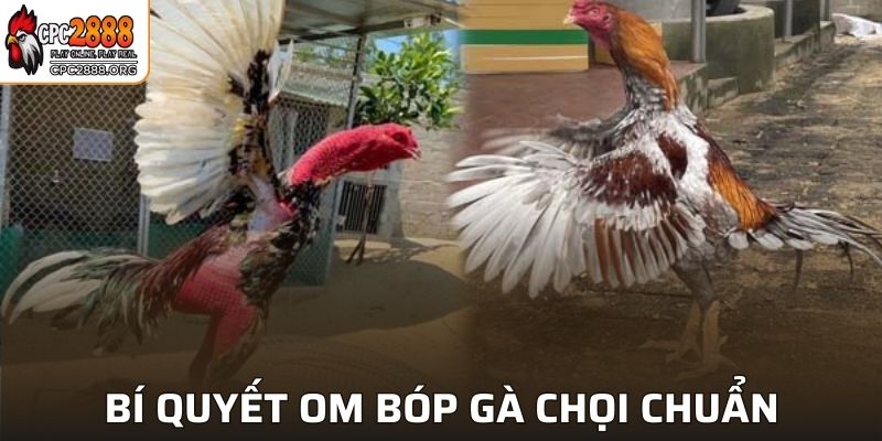 Bí Quyết Om Bóp Gà Chọi