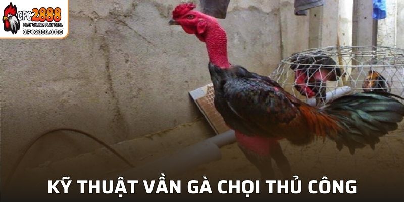 Các vần gà chọi thủ công đơn giản, đảm bảo hiệu quả