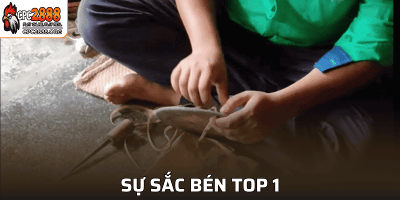 Đảm bảo sự sắc bén