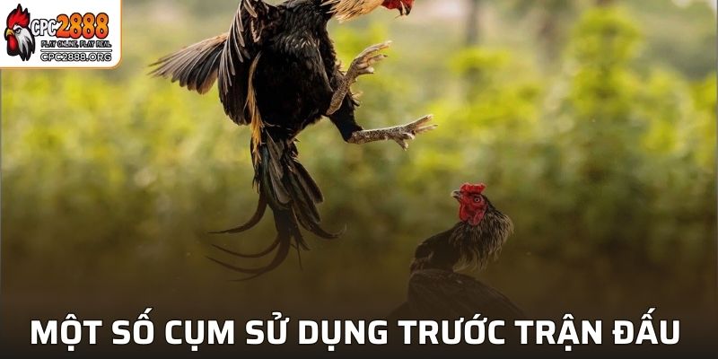 Một số cụm trước trận đấu