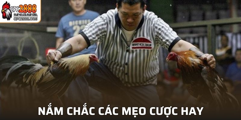 Nắm chắc các mẹo cược hay để tăng cơ hội thắng