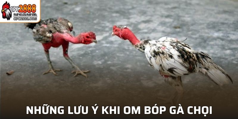 Những lưu ý khi thực hiện bí quyết om bóp gà chọi