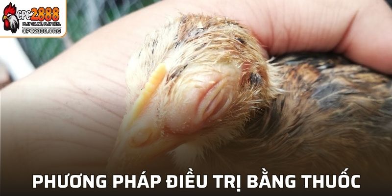 Phương pháp điều trị bằng thuốc đặc dụng