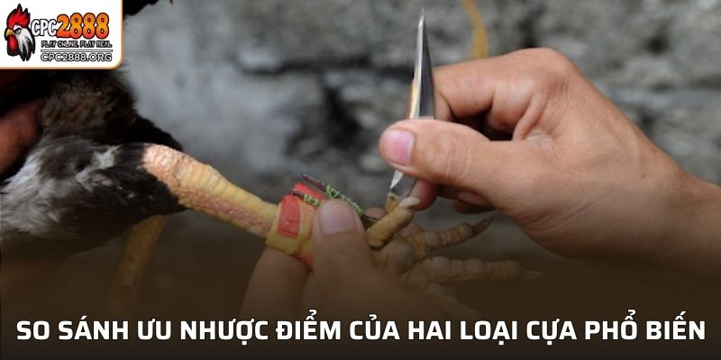 So sánh ưu nhược điểm của hai loại cựa phổ biến