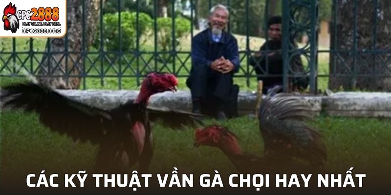 Tổng hợp các kỹ thuật vần gà chọi hay nhất